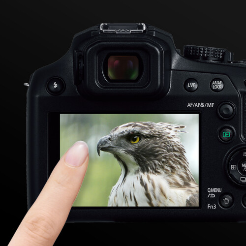 Panasonic Lumix FZ80D